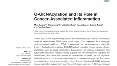 O-GlcNAcylation and Its Role in Cancer-Associated Inflammation featured image